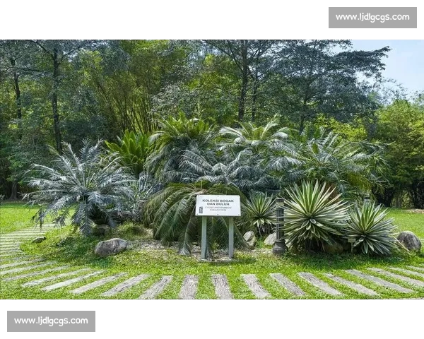 金杯赛非洲独苗:南非 2005 年的跨洋之旅 金杯赛非洲独苗:南非 2005 年的跨洋之旅