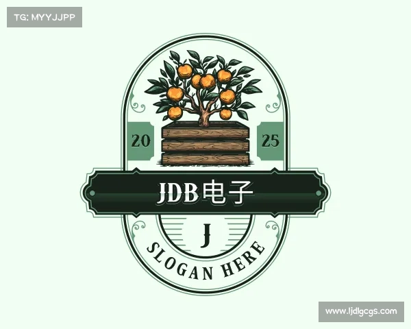 了解JDB电子